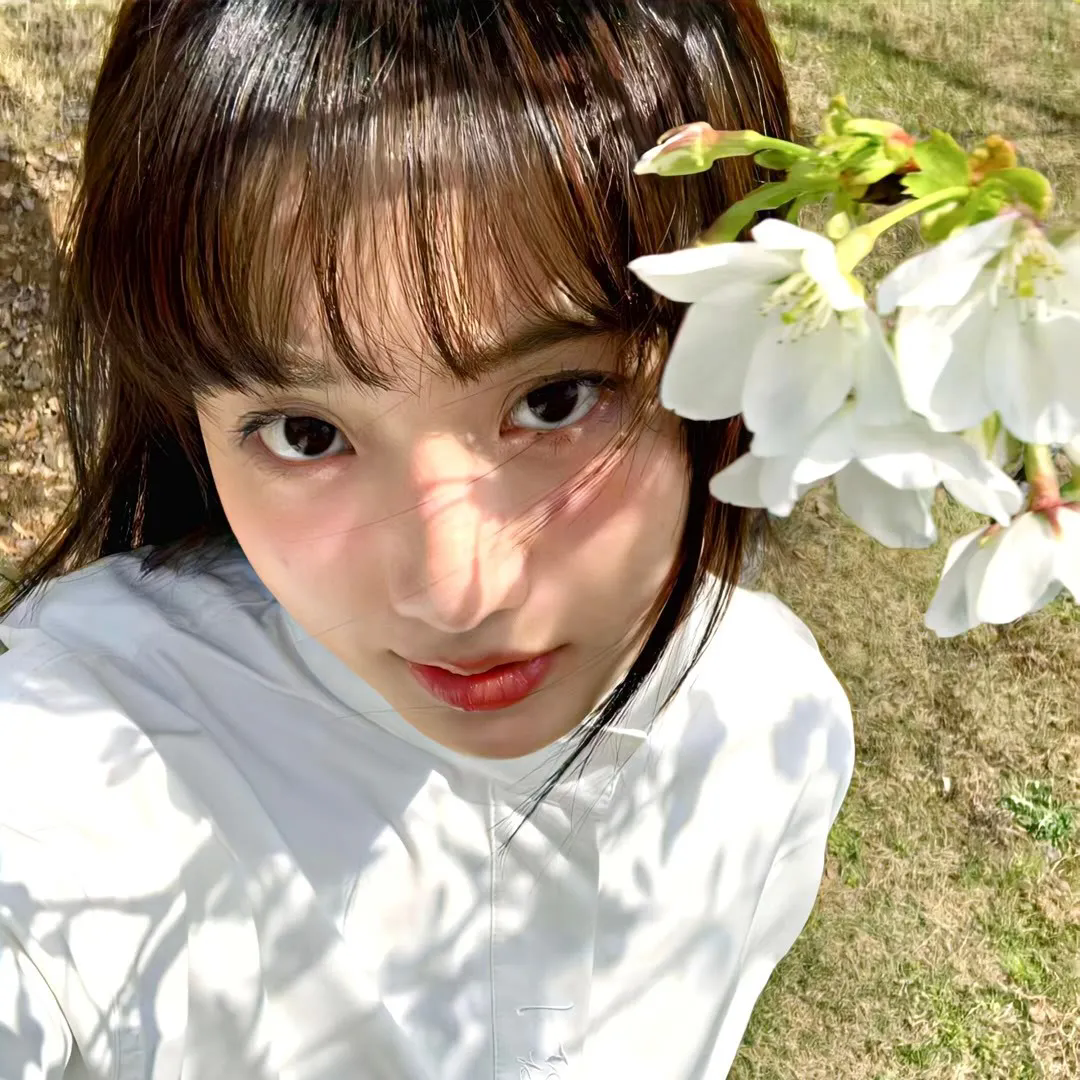 丁丁历险记第二季